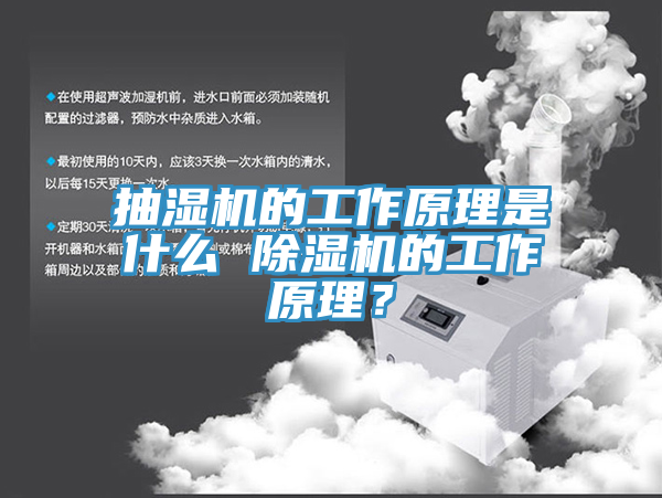 抽濕機的工作原理是什麽 蘑菇视频网站的工作原理？