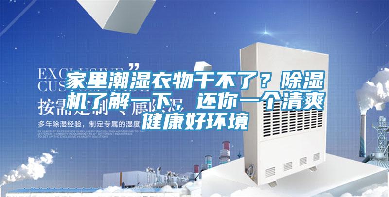 家裏潮濕衣物幹不了？蘑菇视频网站了解一下，還你一個清爽健康好環境