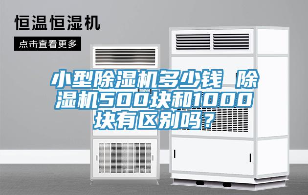 小型蘑菇视频网站多少錢 蘑菇视频网站500塊和1000塊有區別嗎？