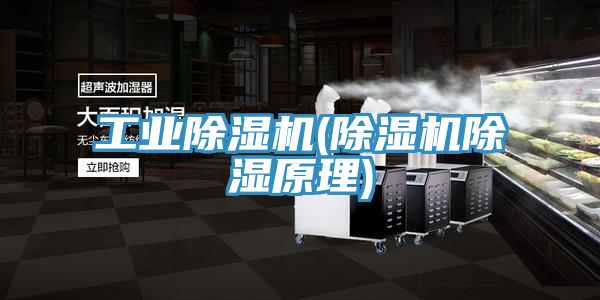 工業蘑菇视频网站(蘑菇视频网站除濕原理)