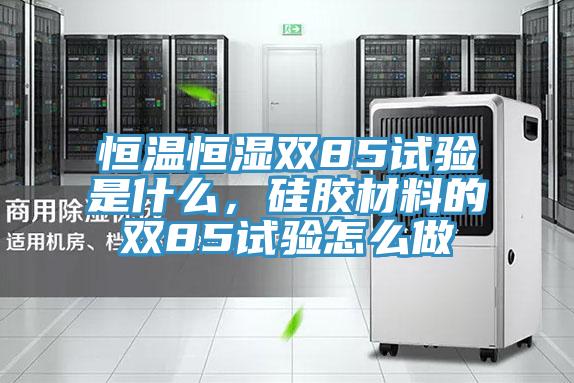 恒溫恒濕雙85試驗是什麽，矽膠材料的雙85試驗怎麽做