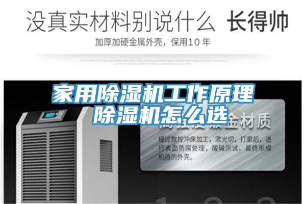 家用蘑菇视频网站工作原理 蘑菇视频网站怎麽選