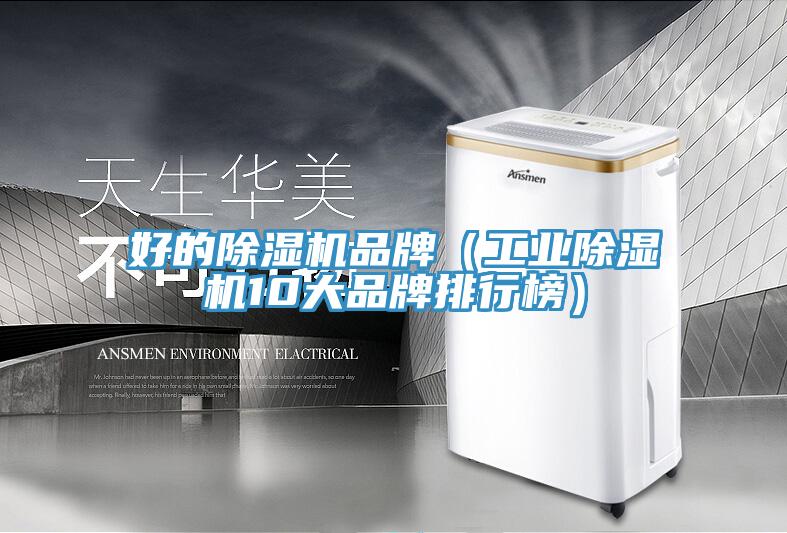 好的蘑菇视频网站品牌（工業蘑菇视频网站10大品牌排行榜）