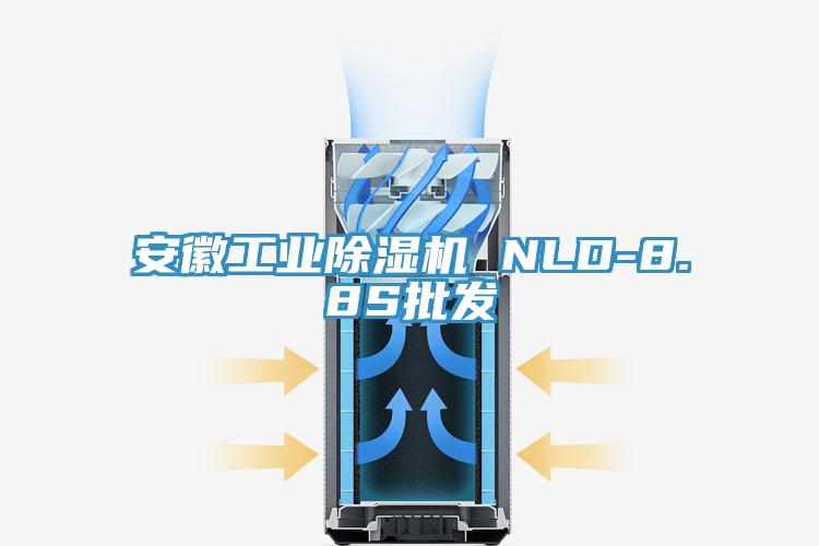 安徽工業蘑菇视频网站 NLD-8.8S批發