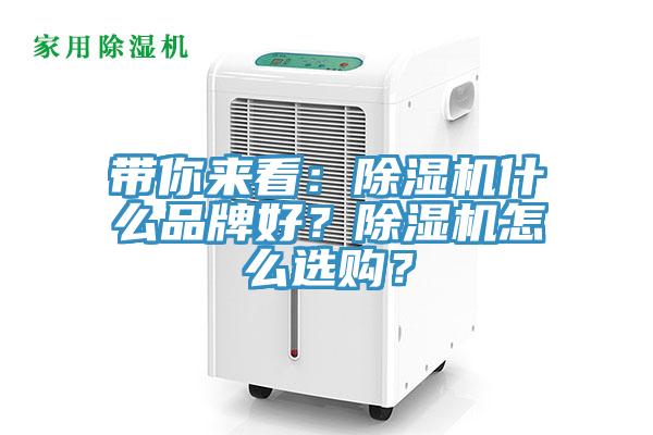 帶你來看：蘑菇视频网站什麽品牌好？蘑菇视频网站怎麽選購？