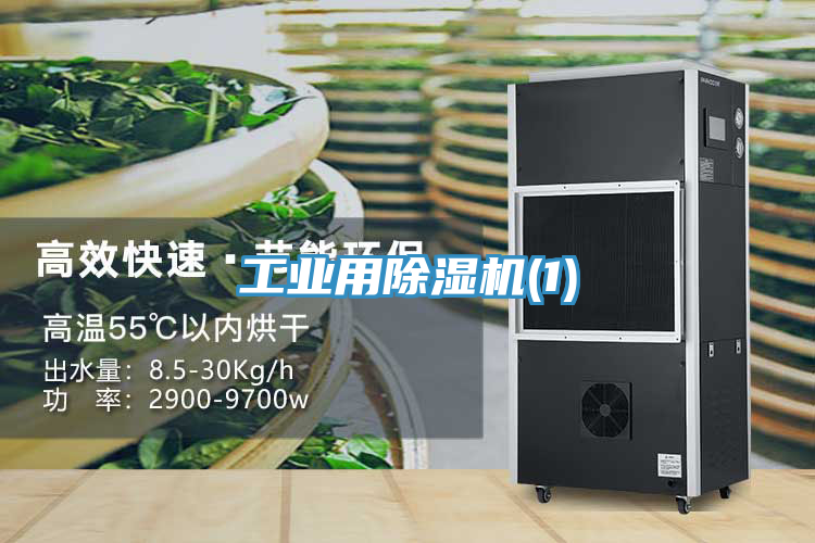 工業用蘑菇视频网站(1)