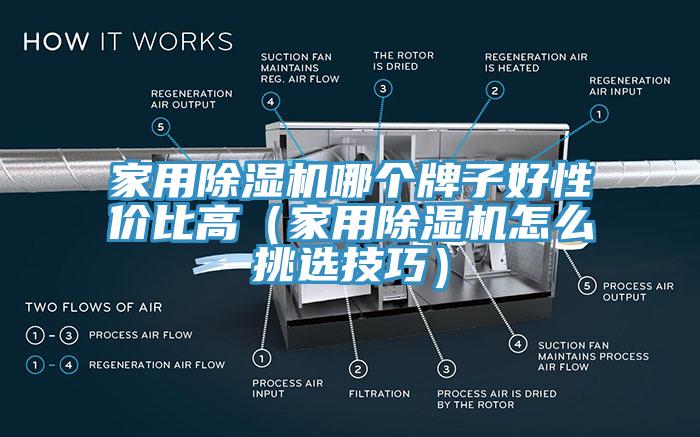 家用蘑菇视频网站哪個牌子好性價比高（家用蘑菇视频网站怎麽挑選技巧）