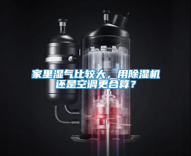 家裏濕氣比較大，用蘑菇视频网站還是空調更合算？