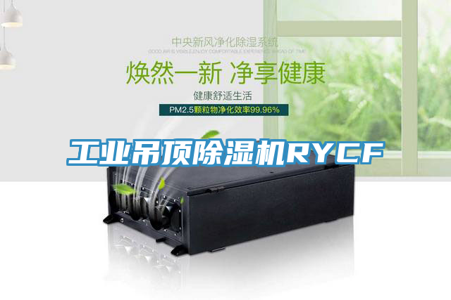 工業吊頂蘑菇视频网站RYCF