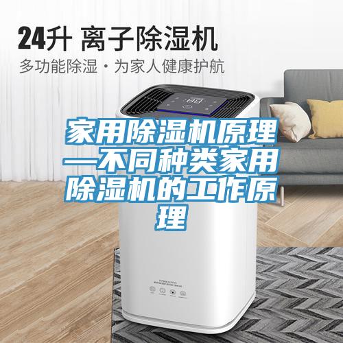 家用蘑菇视频网站原理—不同種類家用蘑菇视频网站的工作原理