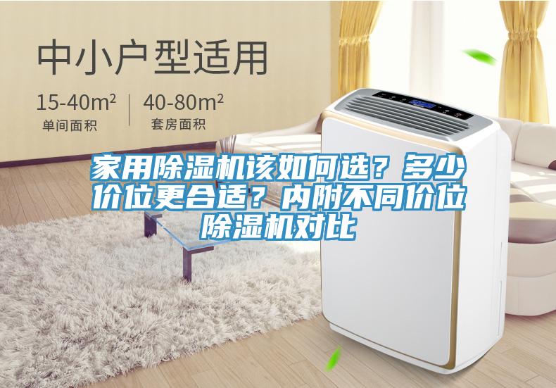 家用蘑菇视频网站該如何選？多少價位更合適？內附不同價位蘑菇视频网站對比
