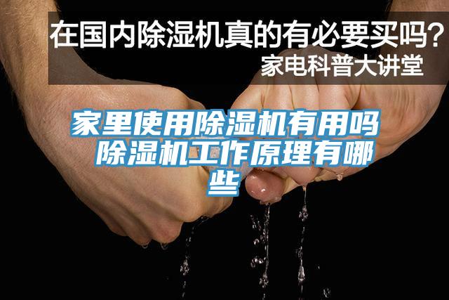 家裏使用蘑菇视频网站有用嗎 蘑菇视频网站工作原理有哪些