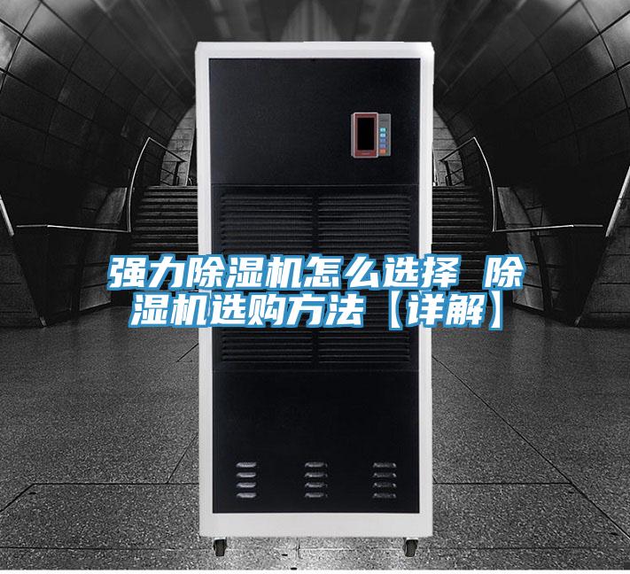 強力蘑菇视频网站怎麽選擇 蘑菇视频网站選購方法【詳解】