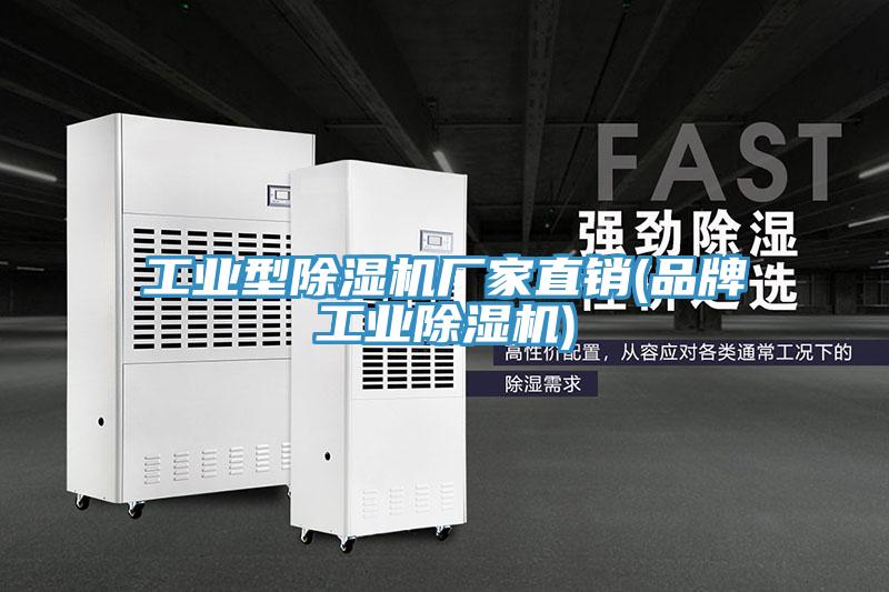 工業型蘑菇视频网站廠家直銷(品牌工業蘑菇视频网站)