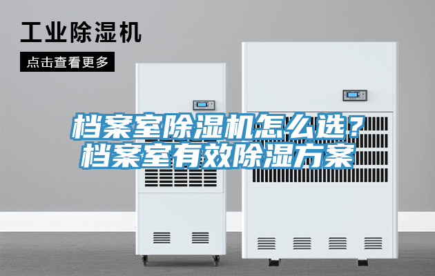 檔案室蘑菇视频网站怎麽選？檔案室有效除濕方案