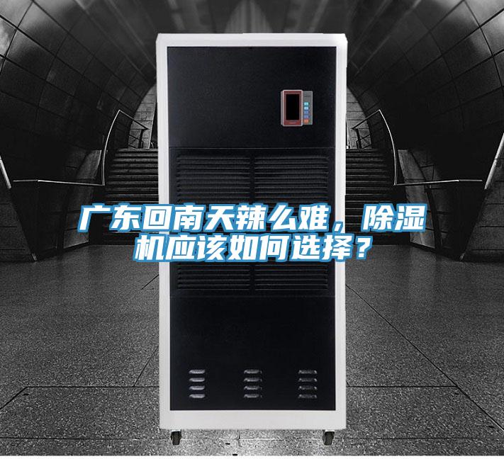廣東回南天辣麽難，蘑菇视频网站應該如何選擇？