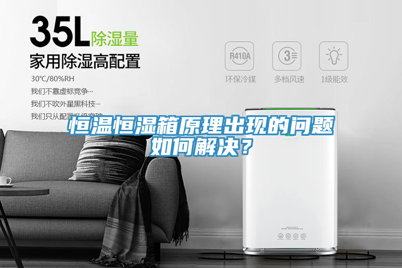 恒溫恒濕箱原理出現的問題如何解決？