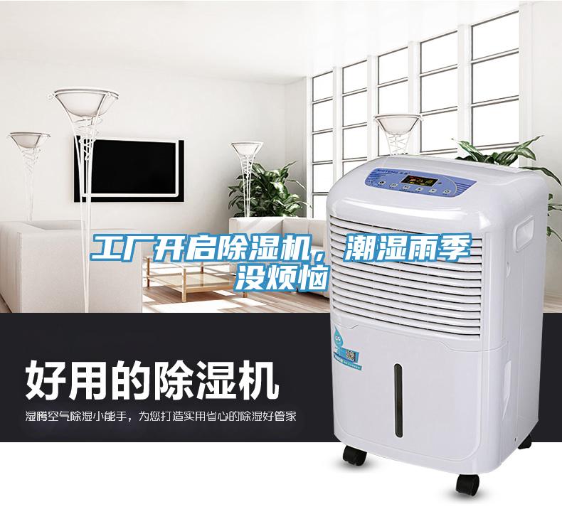 工廠開啟蘑菇视频网站，潮濕雨季沒煩惱