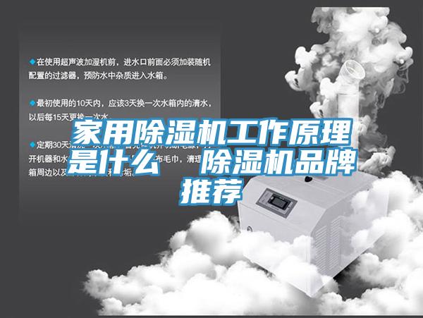 家用蘑菇视频网站工作原理是什麽  蘑菇视频网站品牌推薦