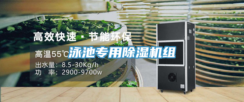 泳池專用蘑菇视频网站組