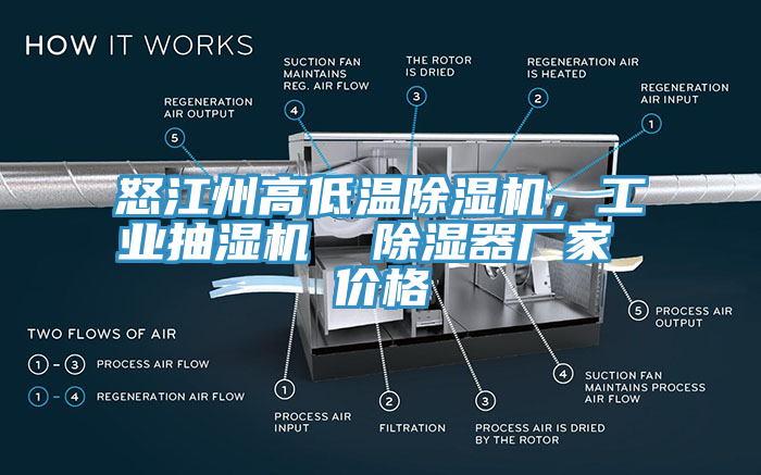 怒江州高低溫蘑菇视频网站，工業抽濕機  除濕器廠家 價格