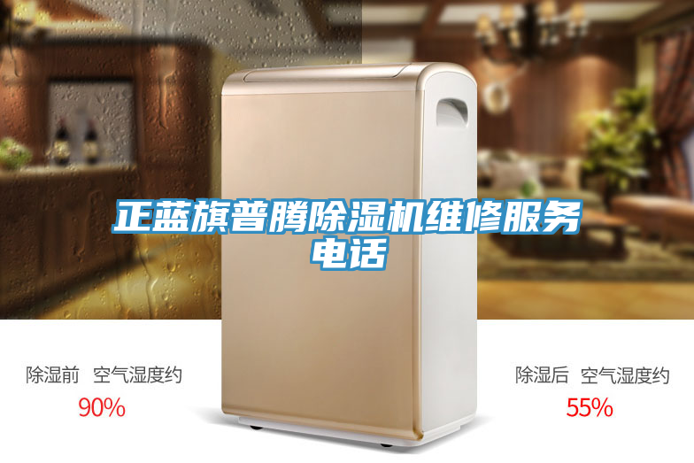 正藍旗普騰蘑菇视频网站維修服務電話