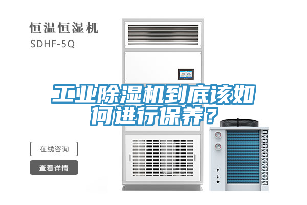 工業蘑菇视频网站到底該如何進行保養？