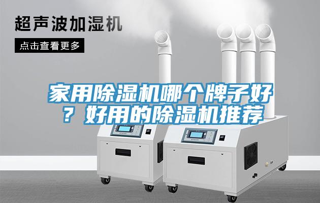 家用蘑菇视频网站哪個牌子好？好用的蘑菇视频网站推薦
