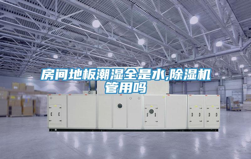 房間地板潮濕全是水,蘑菇视频网站管用嗎