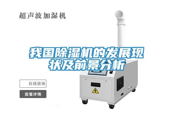 我國蘑菇视频网站的發展現狀及前景分析