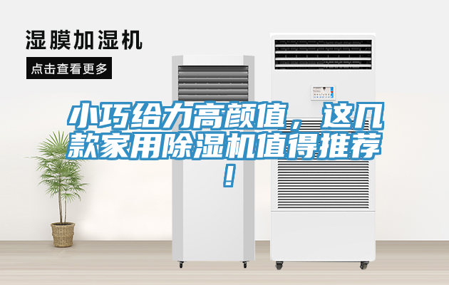 小巧給力高顏值，這幾款家用蘑菇视频网站值得推薦！