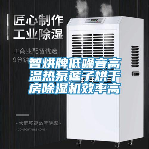 智烘牌低噪音高溫熱泵蓮子烘幹房蘑菇视频网站效率高