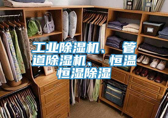 工業蘑菇视频网站、 管道蘑菇视频网站、 恒溫恒濕除濕