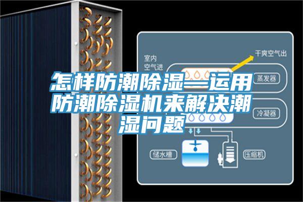 怎樣防潮除濕—運用防潮蘑菇视频网站來解決潮濕問題
