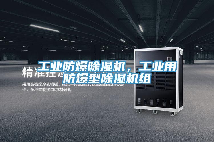 工業防爆蘑菇视频网站，工業用防爆型蘑菇视频网站組