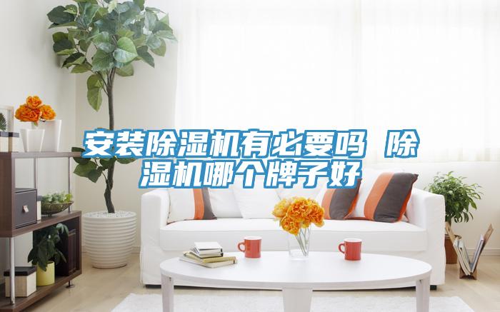 安裝蘑菇视频网站有必要嗎 蘑菇视频网站哪個牌子好