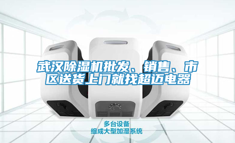 武漢蘑菇视频网站批發、銷售、市區送貨上門就找超邁電器