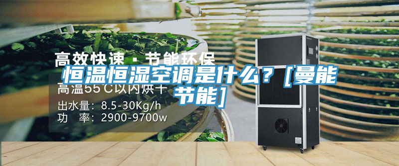 恒溫恒濕空調是什麽？[曼能節能]