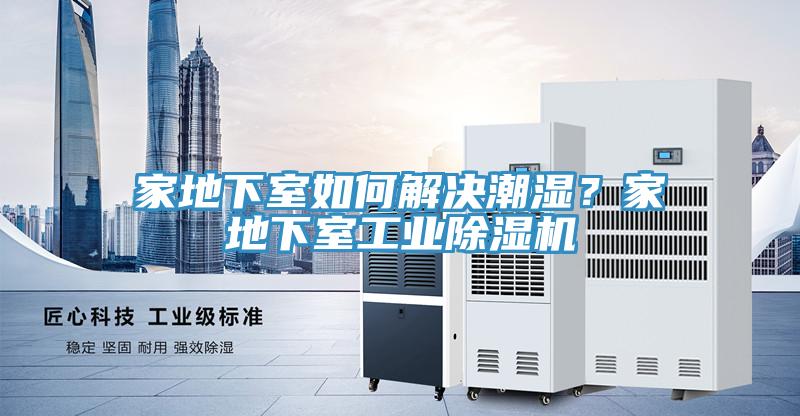 家地下室如何解決潮濕？家地下室工業蘑菇视频网站