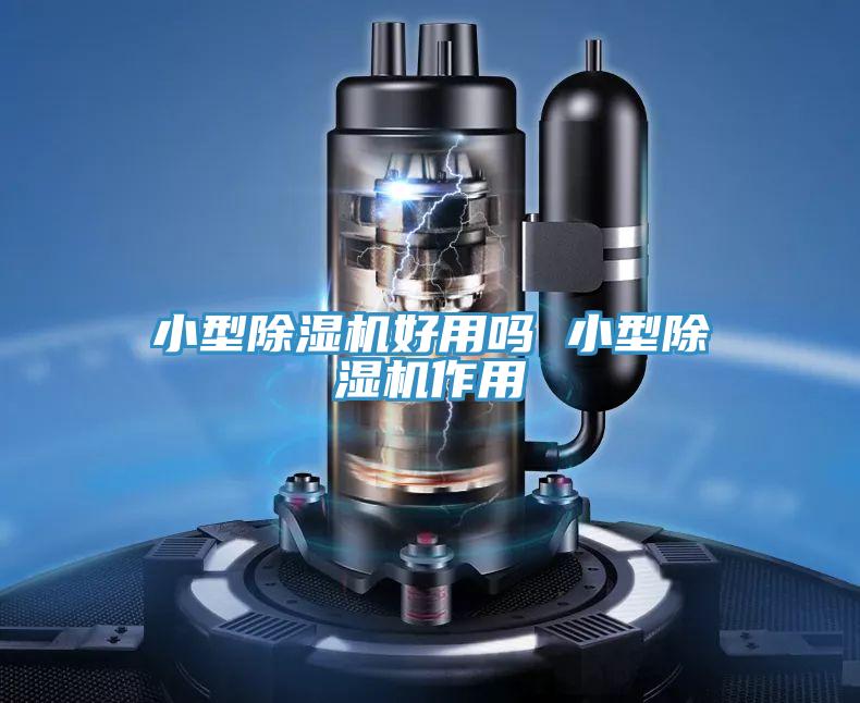 小型蘑菇视频网站好用嗎 小型蘑菇视频网站作用