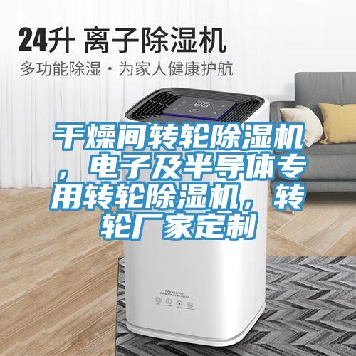 幹燥間轉輪蘑菇视频网站，電子及半導體專用轉輪蘑菇视频网站，轉輪廠家定製
