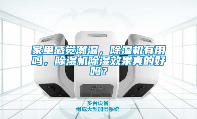 家裏感覺潮濕，蘑菇视频网站有用嗎，蘑菇视频网站除濕效果真的好嗎？