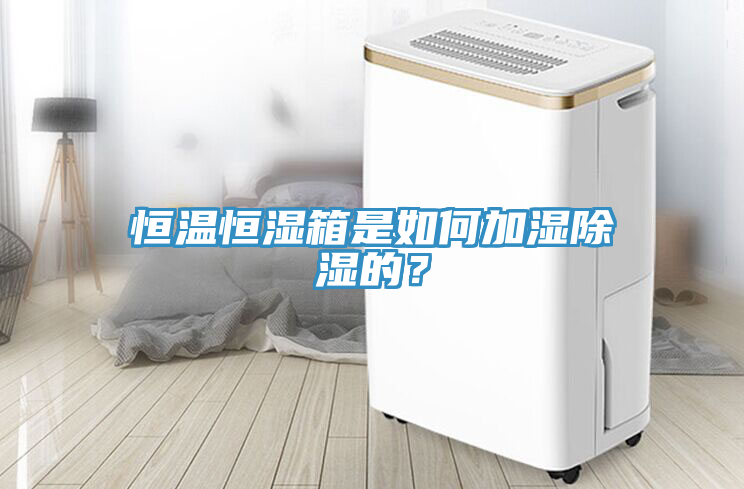 恒溫恒濕箱是如何加濕除濕的？