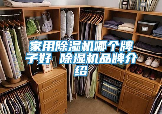 家用蘑菇视频网站哪個牌子好 蘑菇视频网站品牌介紹