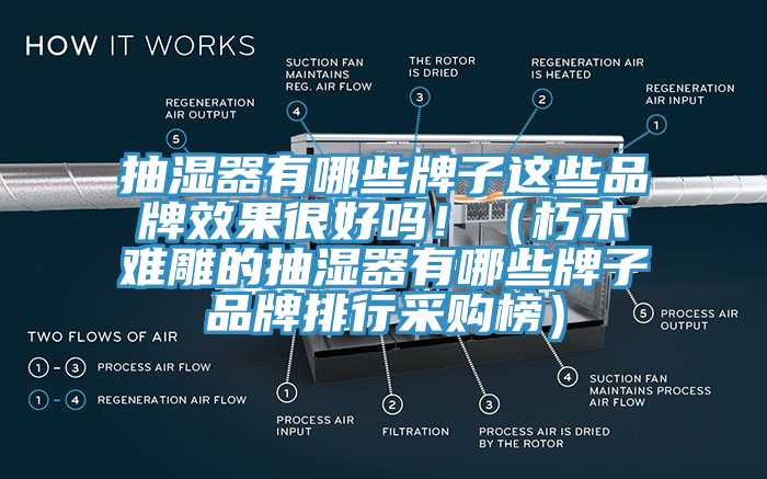 抽濕器有哪些牌子這些品牌效果很好嗎！（朽木難雕的抽濕器有哪些牌子品牌排行采購榜）