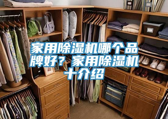 家用蘑菇视频网站哪個品牌好？家用蘑菇视频网站十介紹