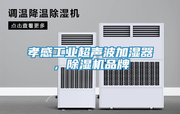 孝感工業超聲波加濕器，蘑菇视频网站品牌