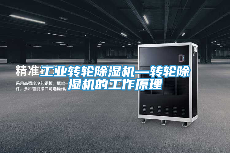 工業轉輪蘑菇视频网站—轉輪蘑菇视频网站的工作原理