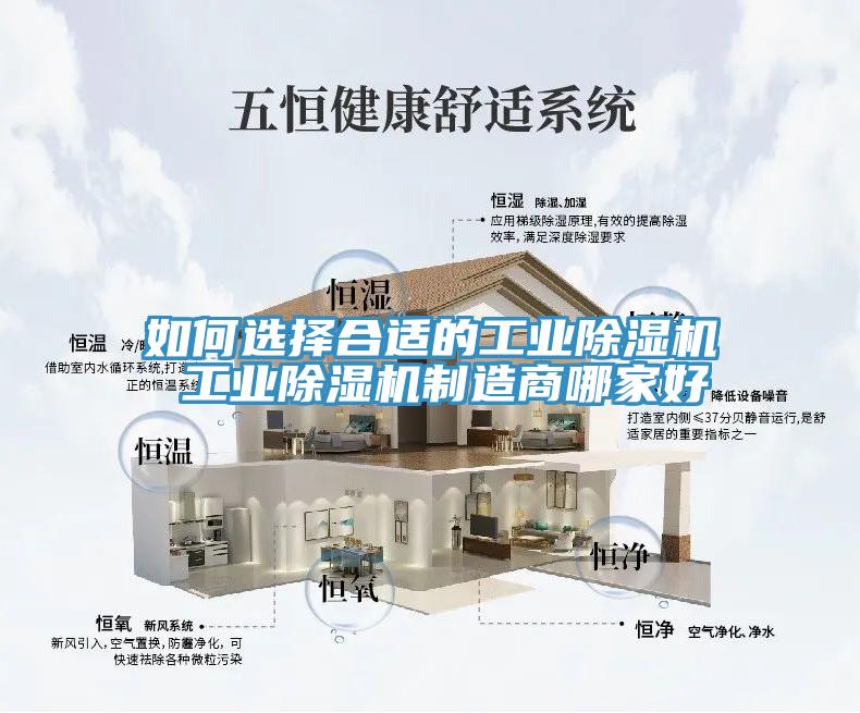 如何選擇合適的工業蘑菇视频网站 工業蘑菇视频网站製造商哪家好