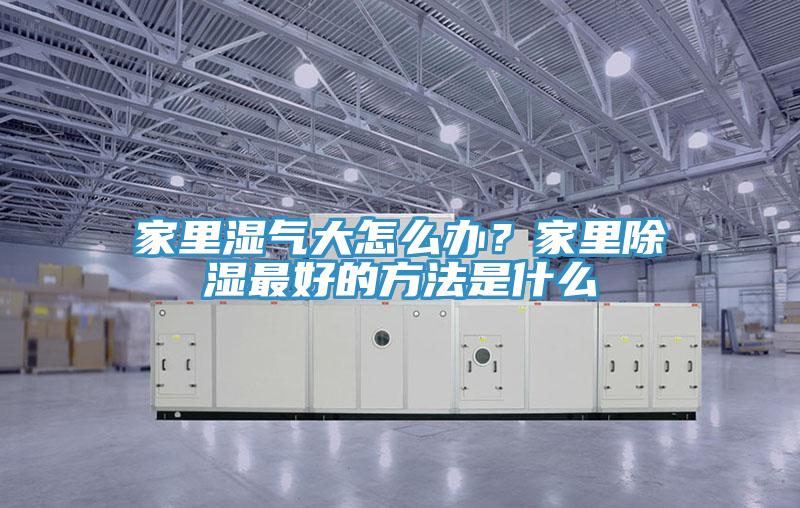 家裏濕氣大怎麽辦？家裏除濕最好的方法是什麽